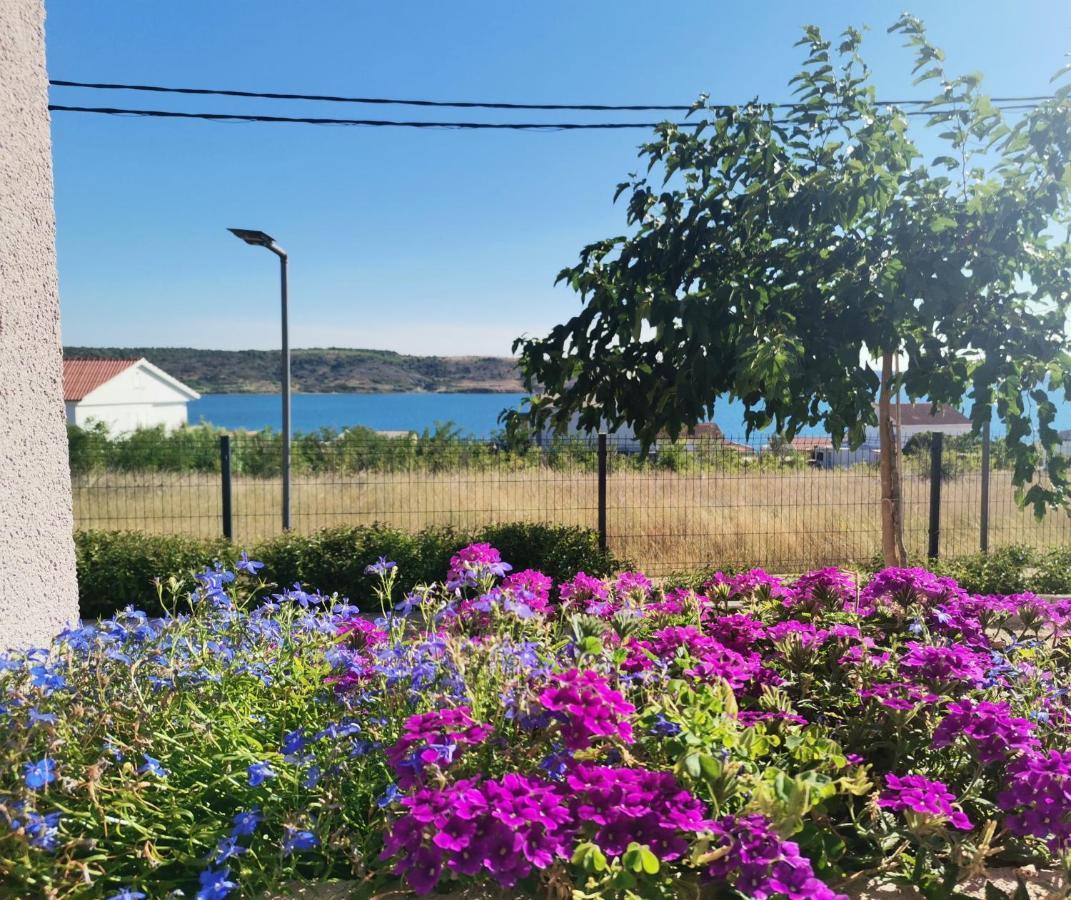 Apartmani Darko Ртина Екстер'єр фото